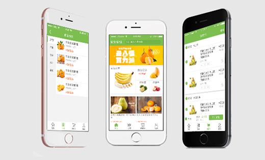 仿站总体ui网页版面软件平台定制开发源码电商 项目简介 水果商城app